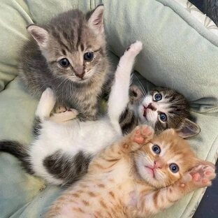 Истории из жизни