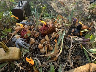 НАКАЗАНИЕ ЛЮТОГО ВРАГА