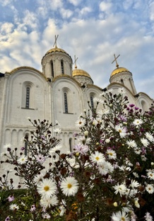 Владимирская область 🦁
