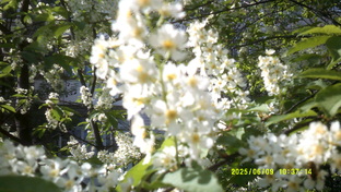 Рассказы северянки