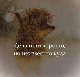 МИНИ-ОТЧЁТЫ