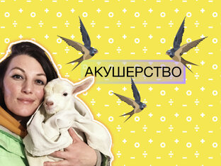 Акушерская физиология, патология и терапия