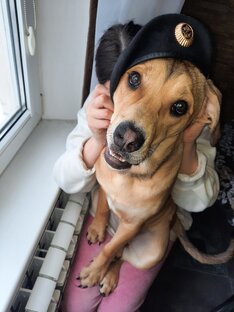 Мастиф Маня 