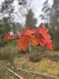 Новая, лучшая жизнь ❣️