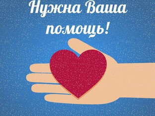 Информационная поддержка ❤️