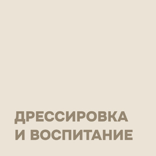 Дрессировка и воспитание
