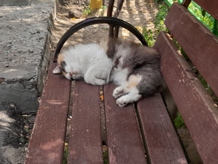 всякое
