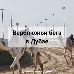 Развлечения в Дубае