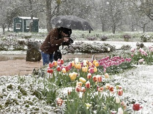 Коротко о погоде