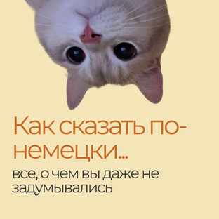 Как сказать по-немецки...?