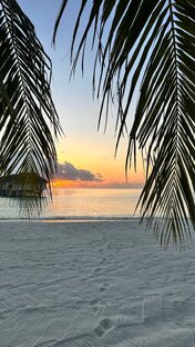 Мальдивы 🏝️✈️