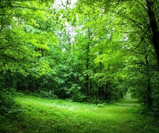 Надежда Сухинова. 8 Видео-Стихов на Дзене