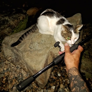 Обзоры снастей