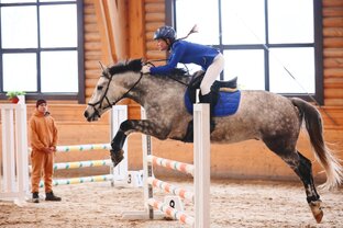 Соревнования