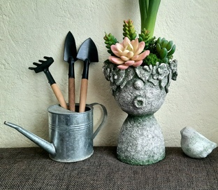 Агротехника и малоуходность