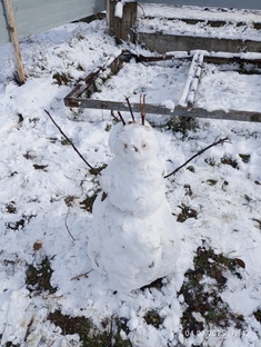 Бумажная кухня 