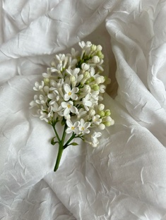 Эстетика лета 