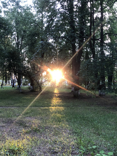 Ораторское искусство