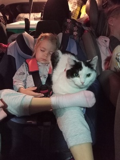 Колесим по Турции. Релоцируемся как можем.