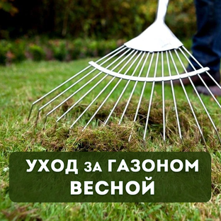 Уход за газоном весной