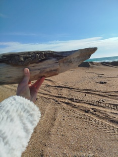 Путешествия