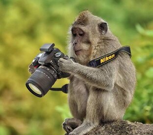 Моя «фотоохота»