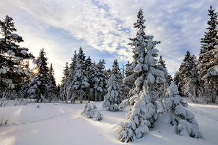 ЯНВАРЬ, народный календарь