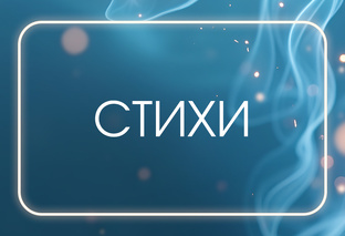Мои стихи
