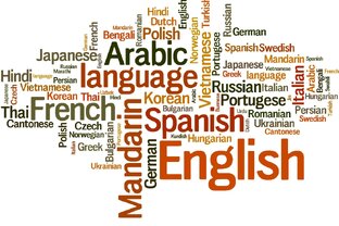 Бздыщ - рейтинг онлайн курсов