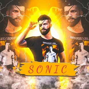 Sonic_pubg