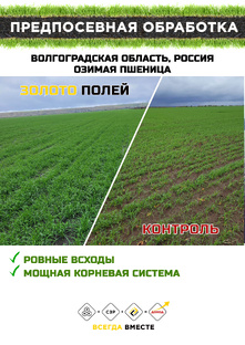Результаты применения удобрений компании "Золото Полей"