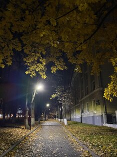 Пешком по Туле