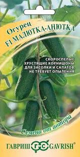 сад. СЕЗОН2025