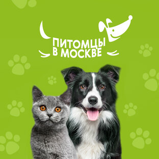Питомцы в Москве