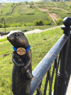 По следам сусликов