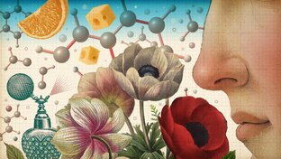 Самые эффектные проекты по аромамаркетингу 2025