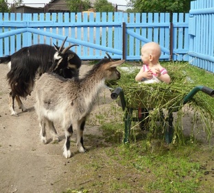 Родная деревня)))