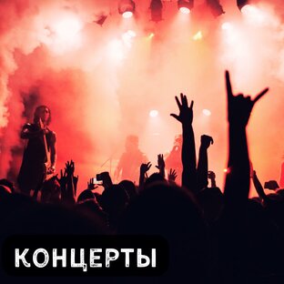Концерты
