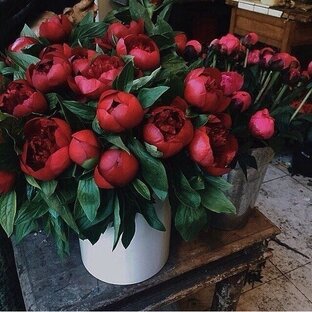 Музыка для души.