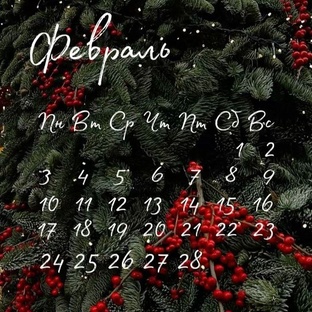 РЕКОМЕНДАЦИИ НА ФЕВРАЛЬ 2025 г.