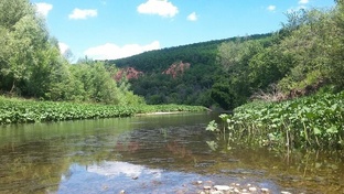 Зирган в поэзии Розы Сиротиной