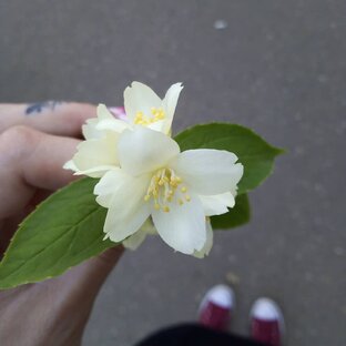 О творчестве