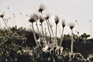 Беременность 