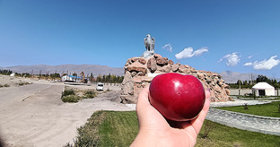 Путешествия