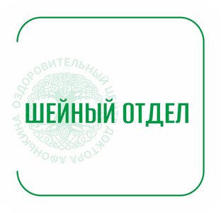 Шейный отдел позвоночника