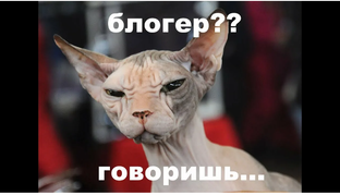 Мой дзен