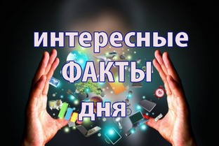 Интересные Новости