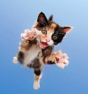 Интересные статьи о жизни