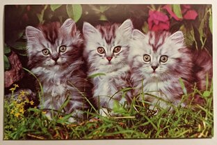 Карманные календарики