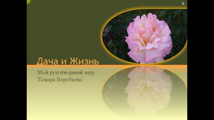 Дача и жизнь